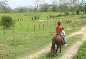 ¿te imaginas un paseo a caballo por la selva chiapaneca?