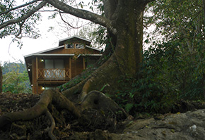 Con Winika Habitat, el turismo de aventura es una realidad en Palenque