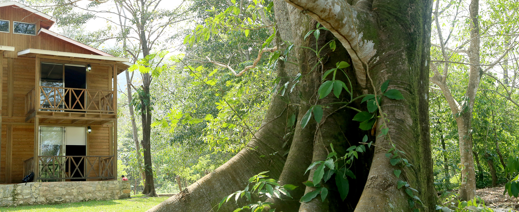 En Winika Habitat verás las maravillas naturales de Palenque Chiapas