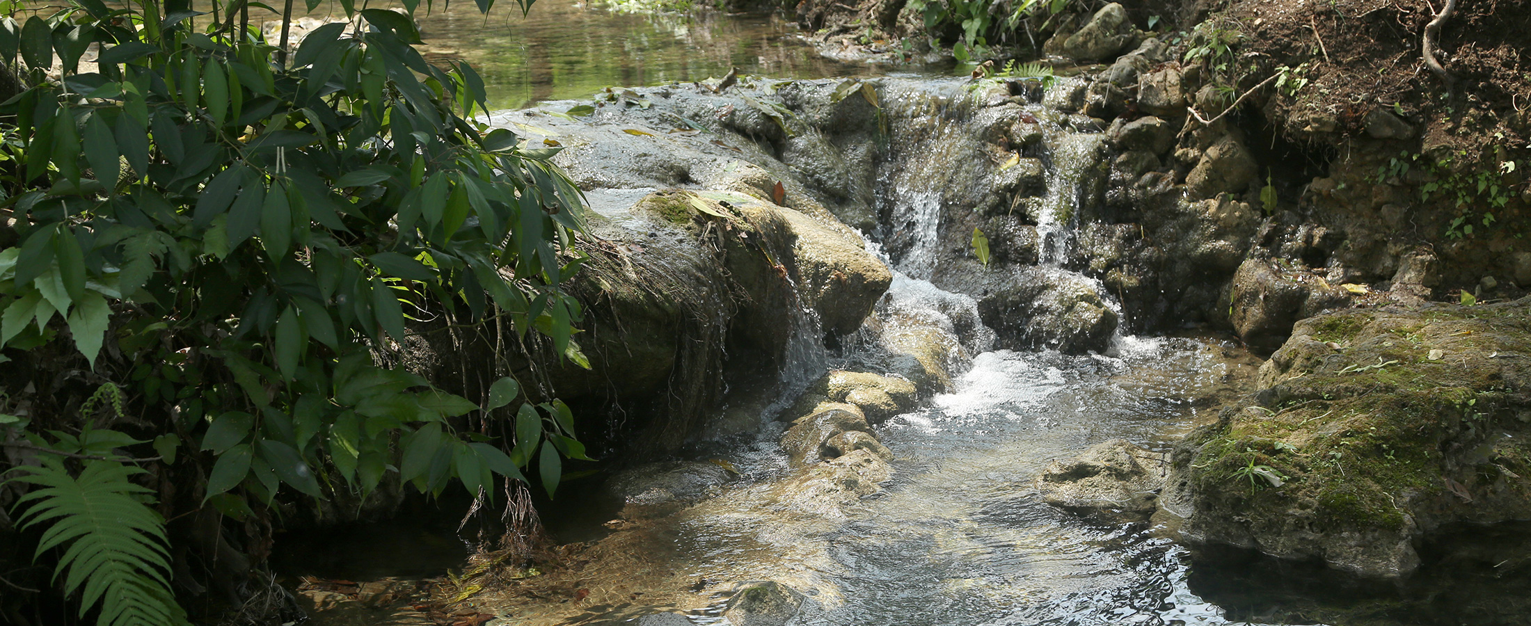 Winika Habitat es ideal para el turismo de aventura en Palenque