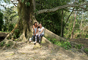 Nuestro resort en Palenque Chiapas está lleno de bella naturaleza